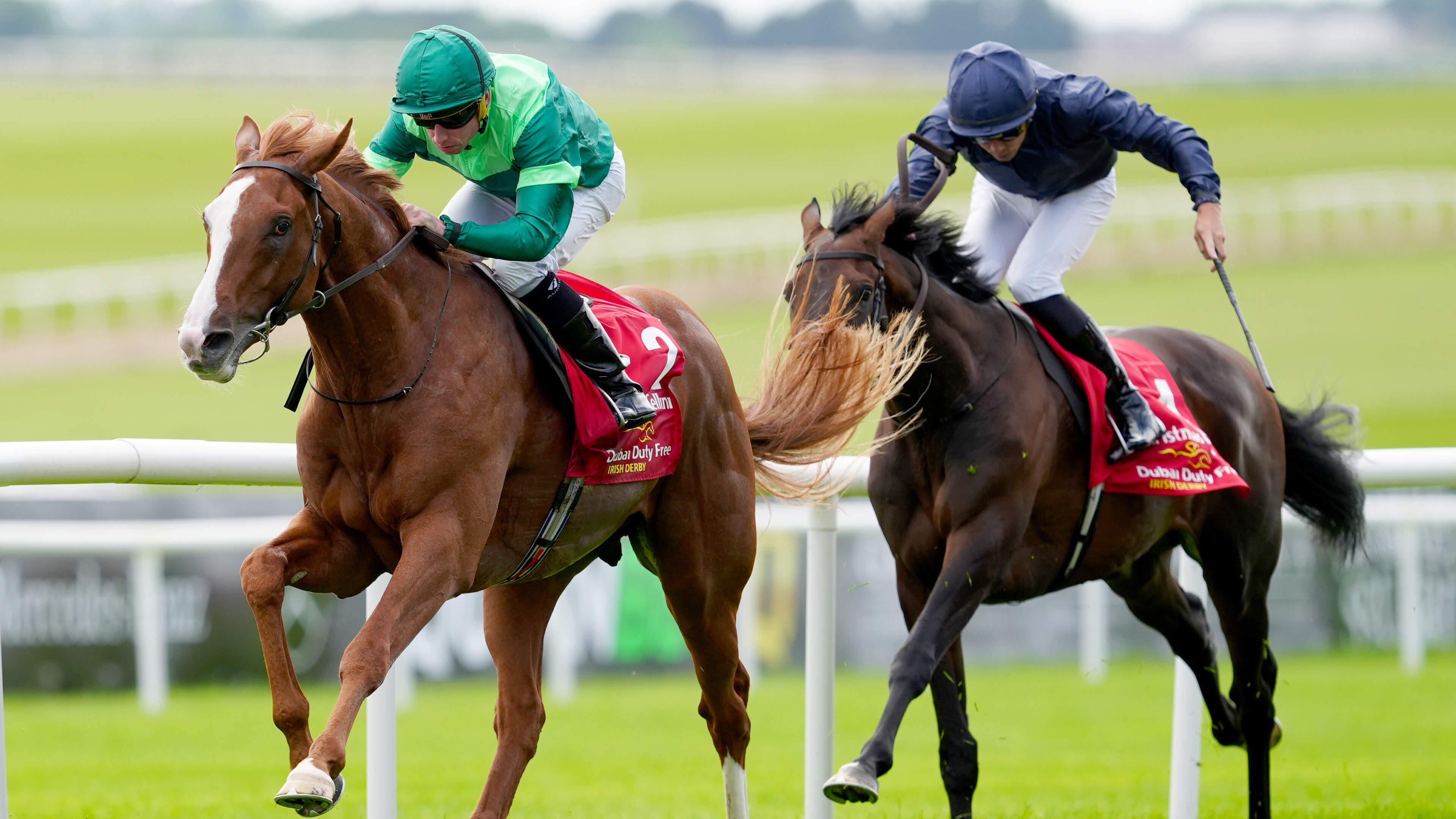 Benvenuto Cellini bounces back to lead home another clean sweep for Aidan O’Brien in the Irish Derby